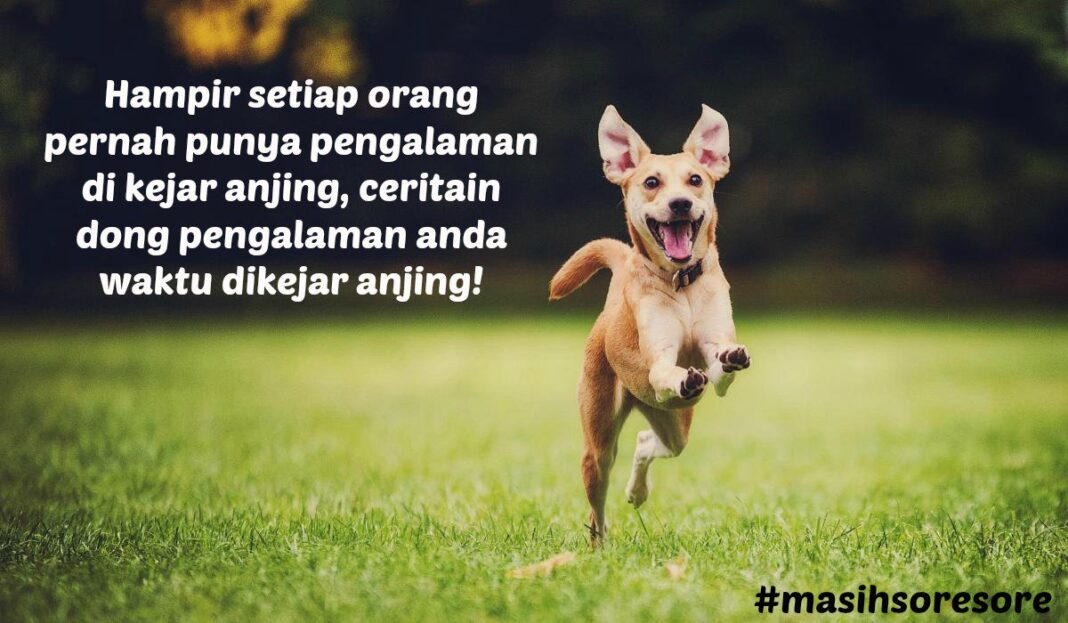 Kejar Pengalaman, Tabungan Statis Aman!