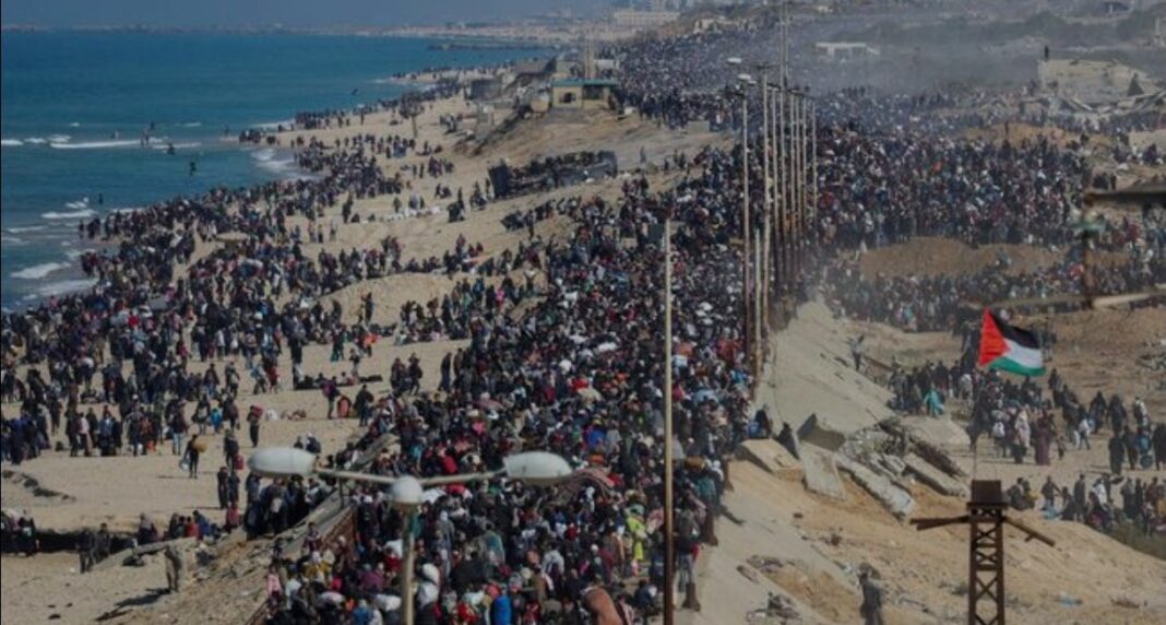 Petaka Baru Hantam Thailand, Wabah Rabies Meluas-Ancam Orang