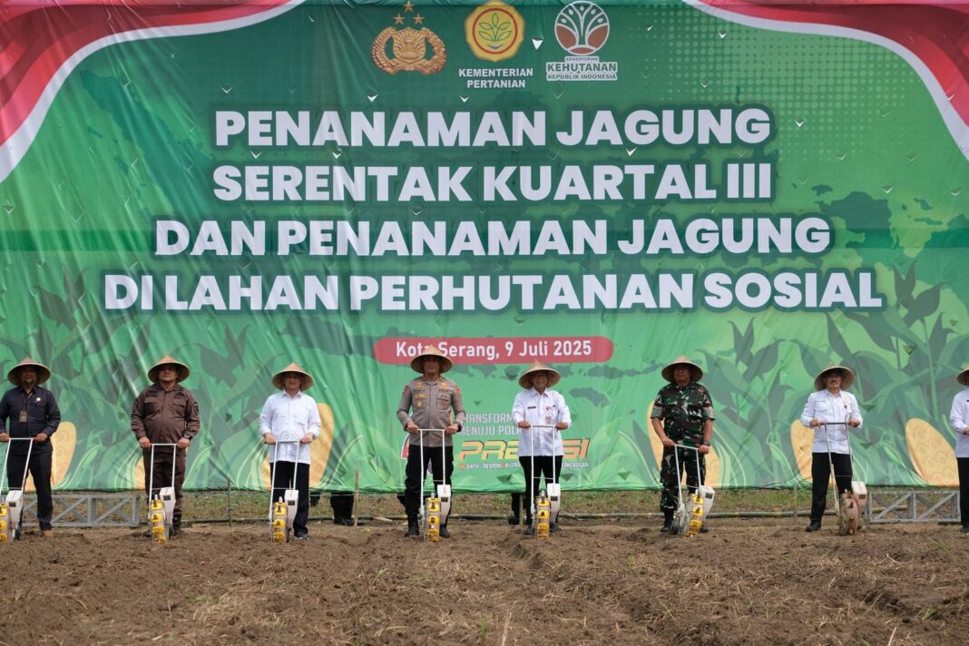 Banten Manfaatkan Lahan Tidur 50 Hektare di Tangerang buat Tanam Jagung
