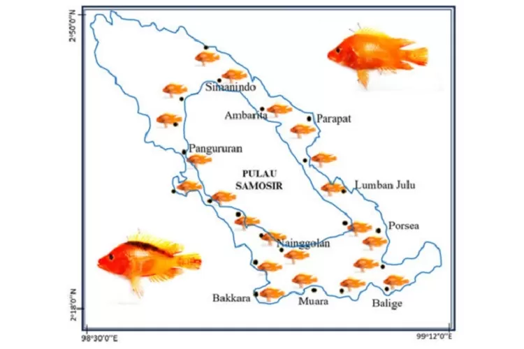 Dosen IPB Pulang Kampung: Edukasi Zero Food Waste