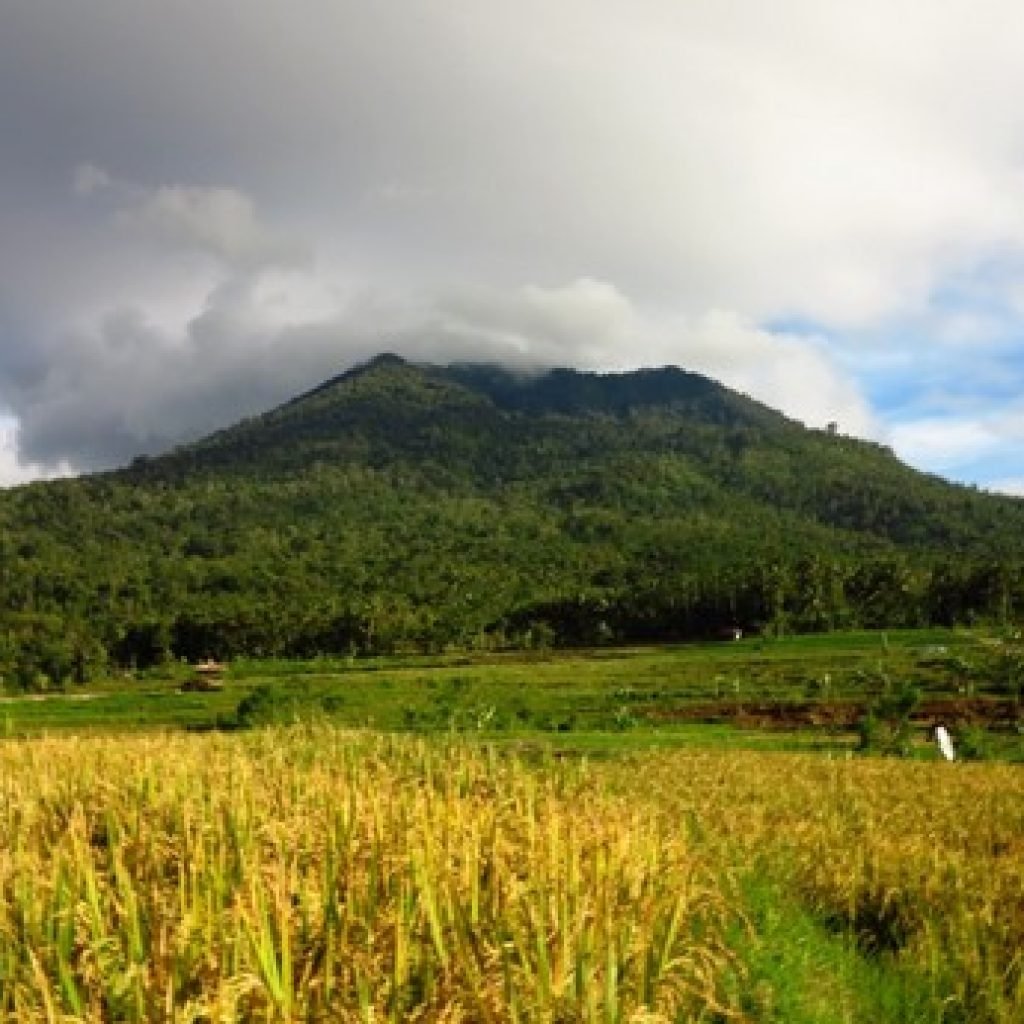 Jalur Pendakian Gunung Pulosari Pandeglang Ditutup