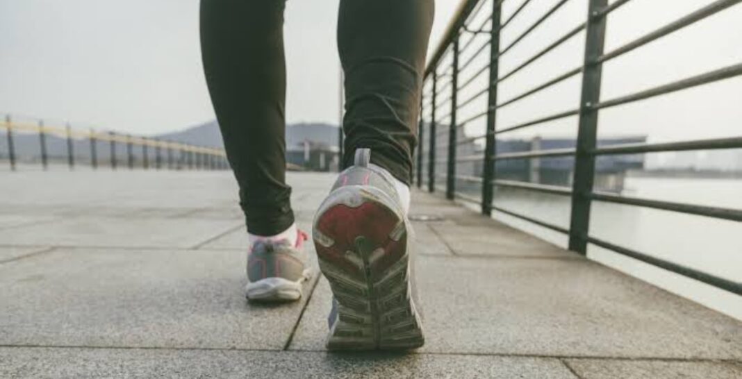 Junk Food Percepat Kerusakan Sel Otak, Berikut Cara Melindunginya