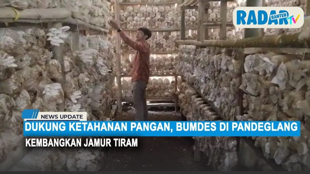 Kreatif! Penduduk Gerendeng Olah Sampah Pasar Jadi Pelet Ikan