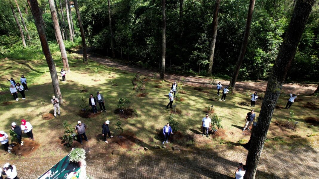 Viral Gerombolan Remaja Bersajam Tawuran dan Perang Petasan di Bogor