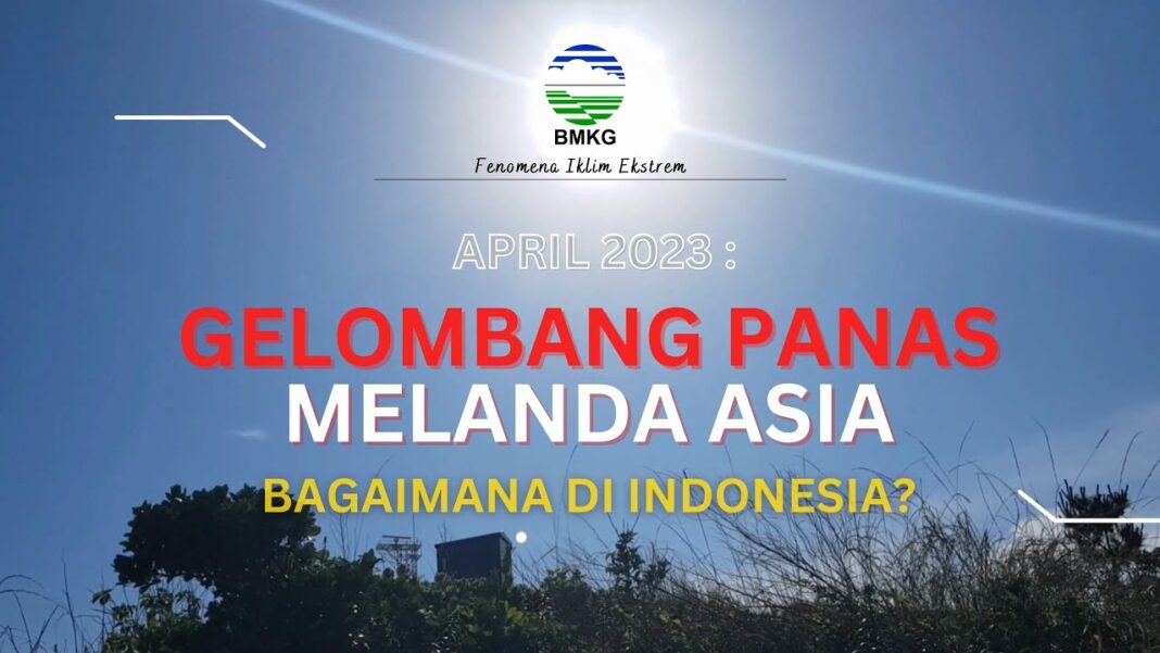 1.030 Penduduk Lebak Terjangkit DBD