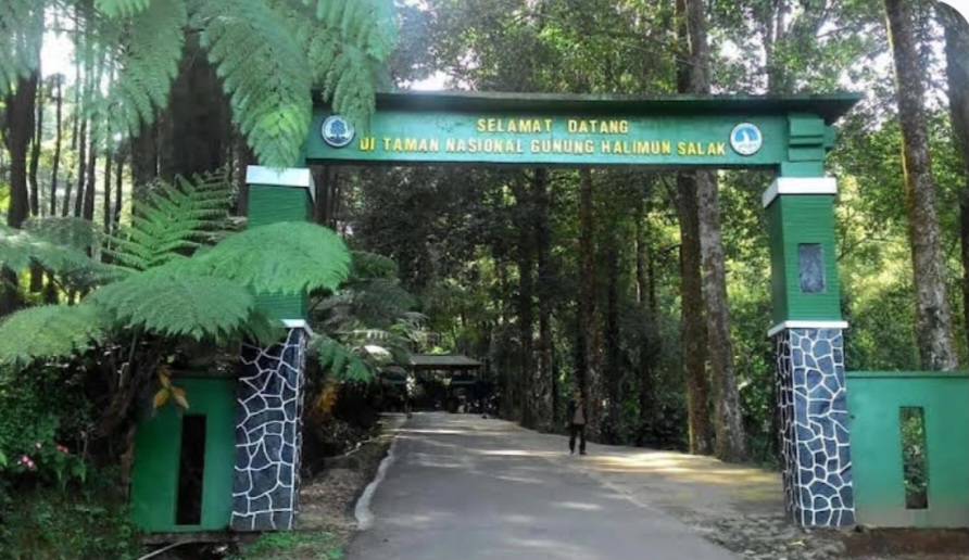 Ditjen Gakkum KLH Tertibkan Tambang Ilegal di Kawasan TNGHS