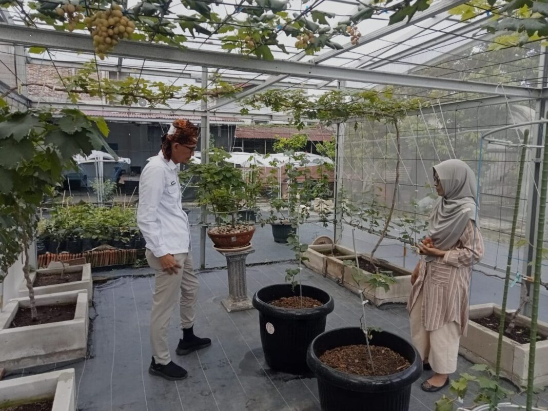 Komunitas Urban Farming Lebak Dorong Transformasi Pertanian