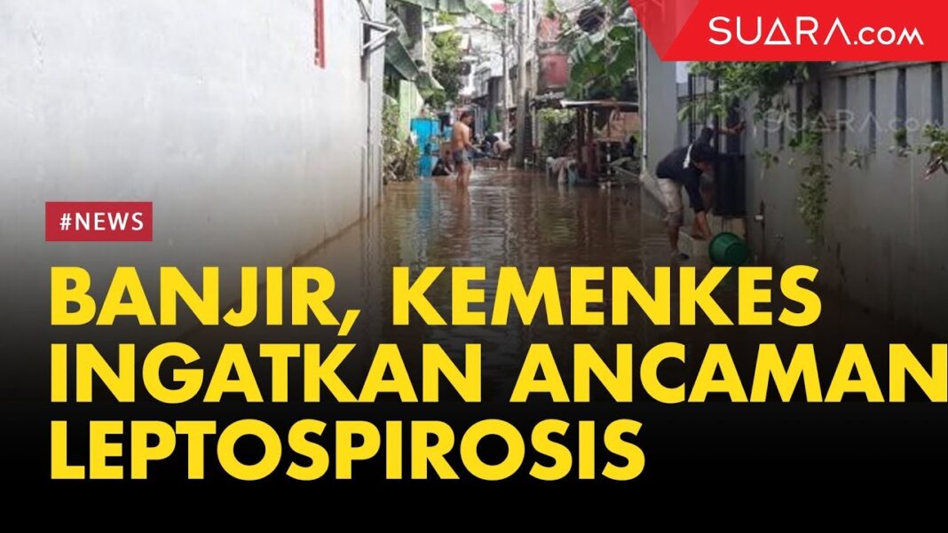 Waspadai Leptospirosis Usai Banjir