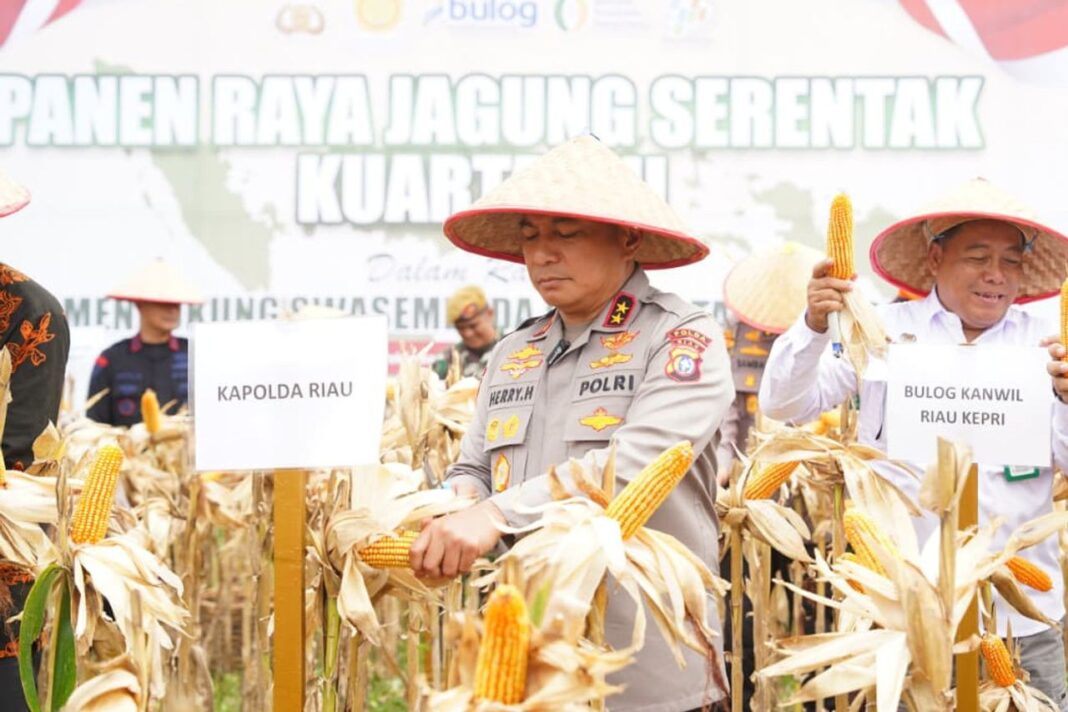 Kapolda Banten Gelar Panen Raya Jagung