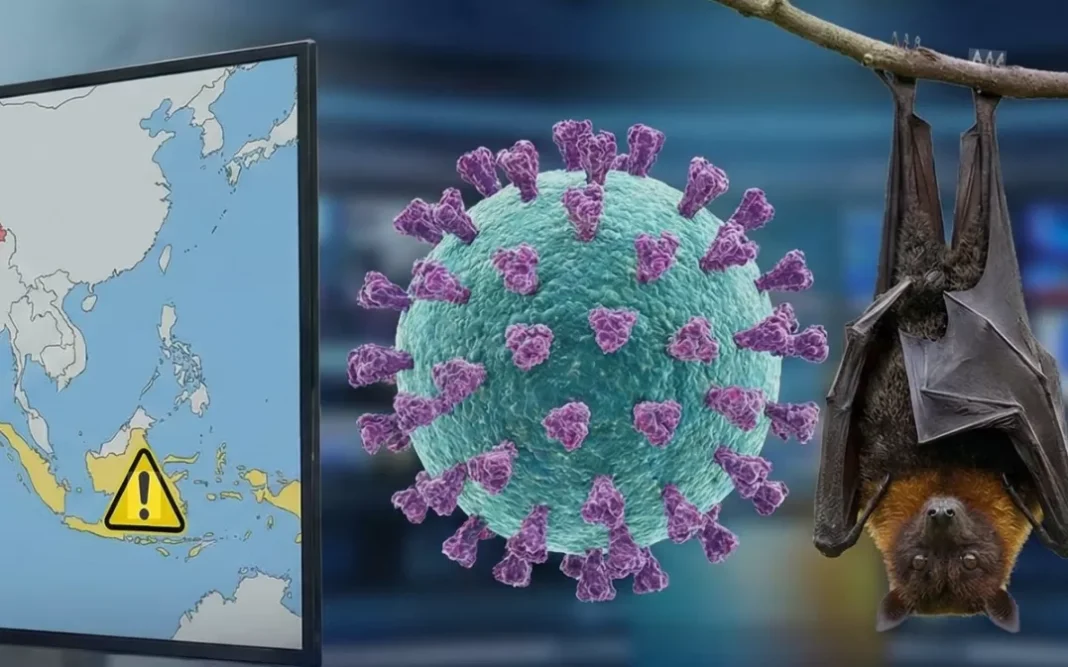 Kemenkes Mohon Masyarakat Tingkatkan Kewaspadaan Virus Nipah
