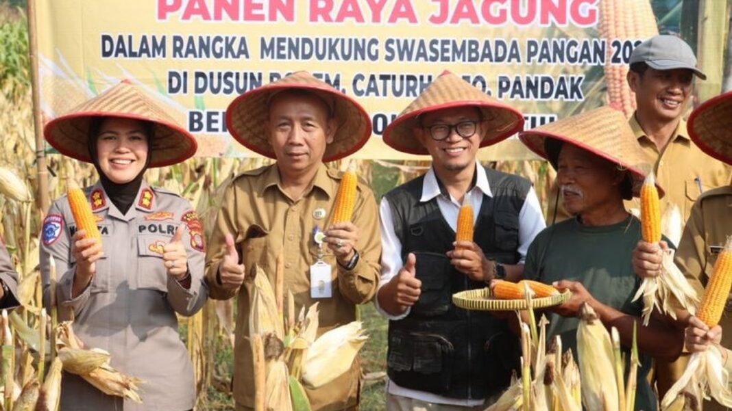 DKPP Kabupaten Serang Bakal Tambah Satu Lumbung Pangan Desa