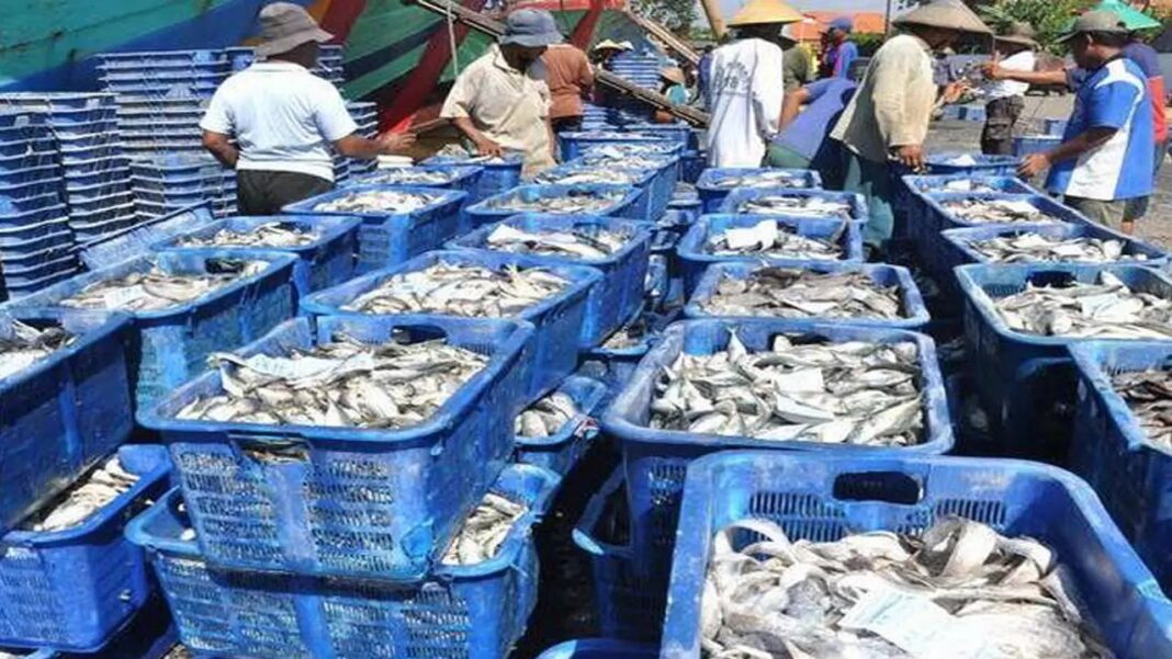 Memperkuat Kapasitas Finansial Masyarakat Pesisir: Usaha Bangkit Laut Tangguh